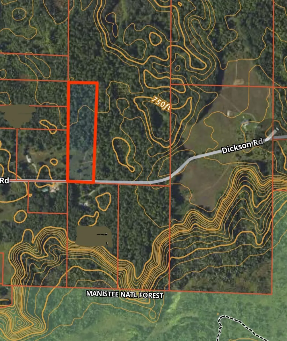Dickson Road Brethren, MI 49619