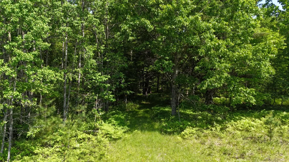 Dickson Road Brethren, MI 49619