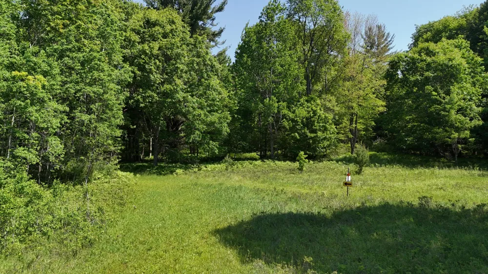 Dickson Road Brethren, MI 49619