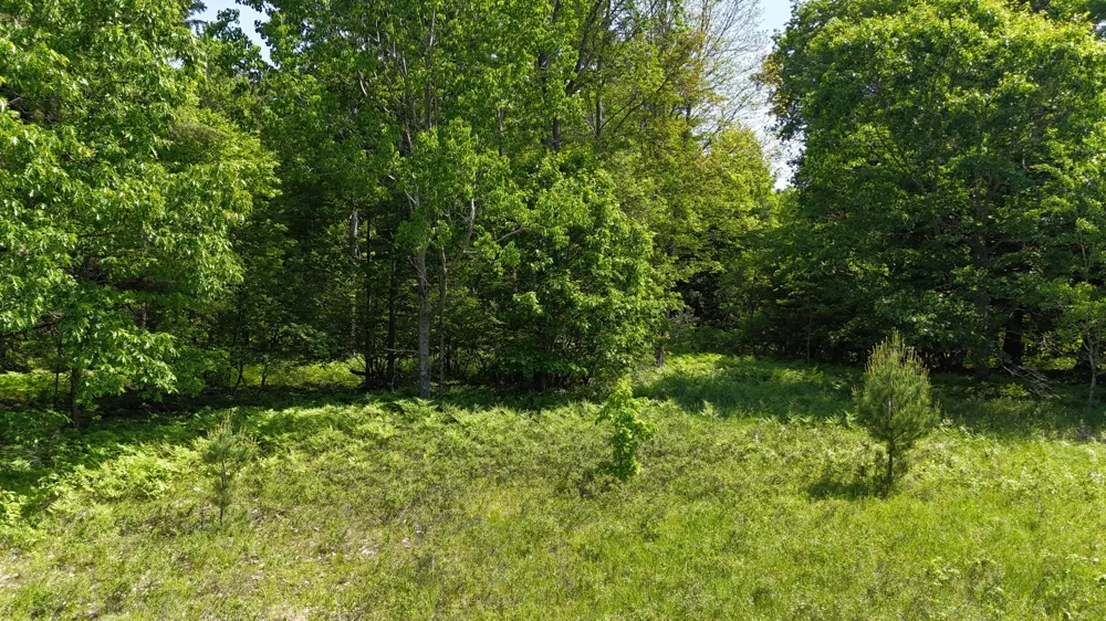Dickson Road Brethren, MI 49619