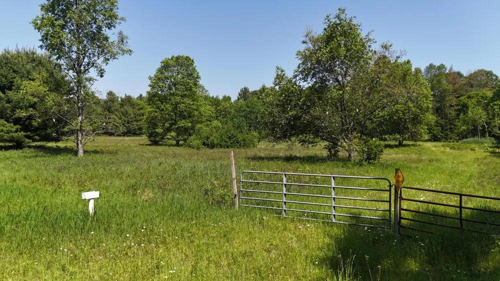 Dickson Road Brethren, MI 49619