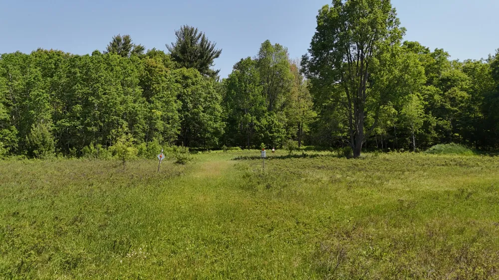 Dickson Road Brethren, MI 49619