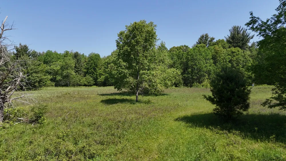 Dickson Road Brethren, MI 49619