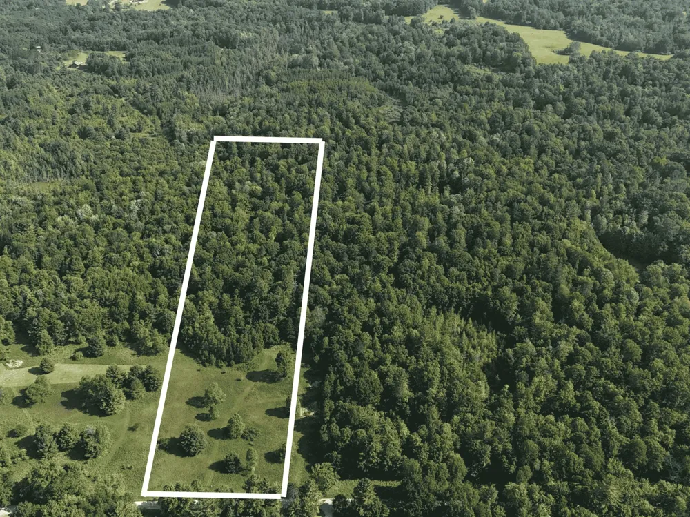 Dickson Road Brethren, MI 49619