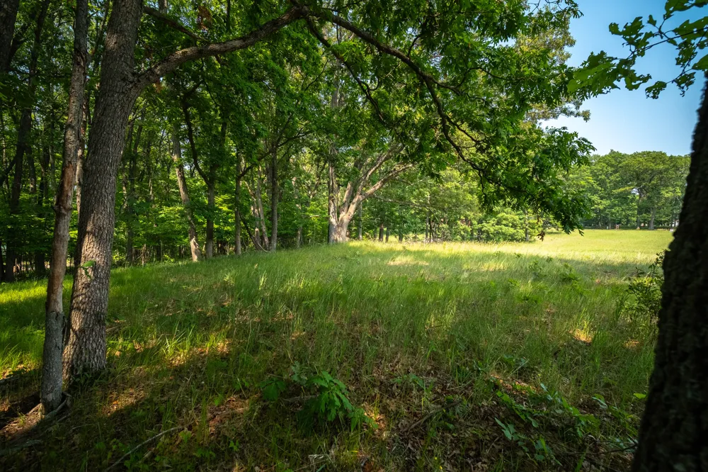 8161 Hunters Ridge Drive Irons, MI 49644