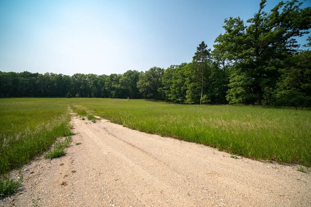 8161 Hunters Ridge Drive Irons, MI 49644