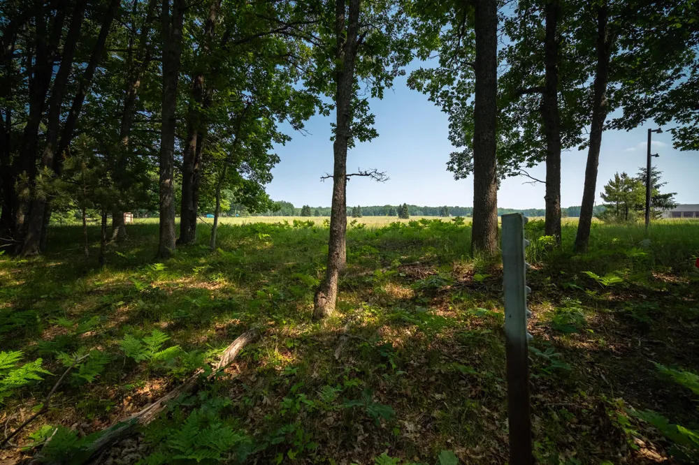 8161 Hunters Ridge Drive Irons, MI 49644