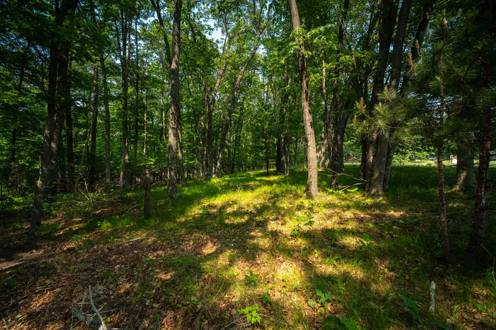 8161 Hunters Ridge Drive Irons, MI 49644
