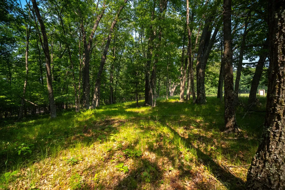 8161 Hunters Ridge Drive Irons, MI 49644