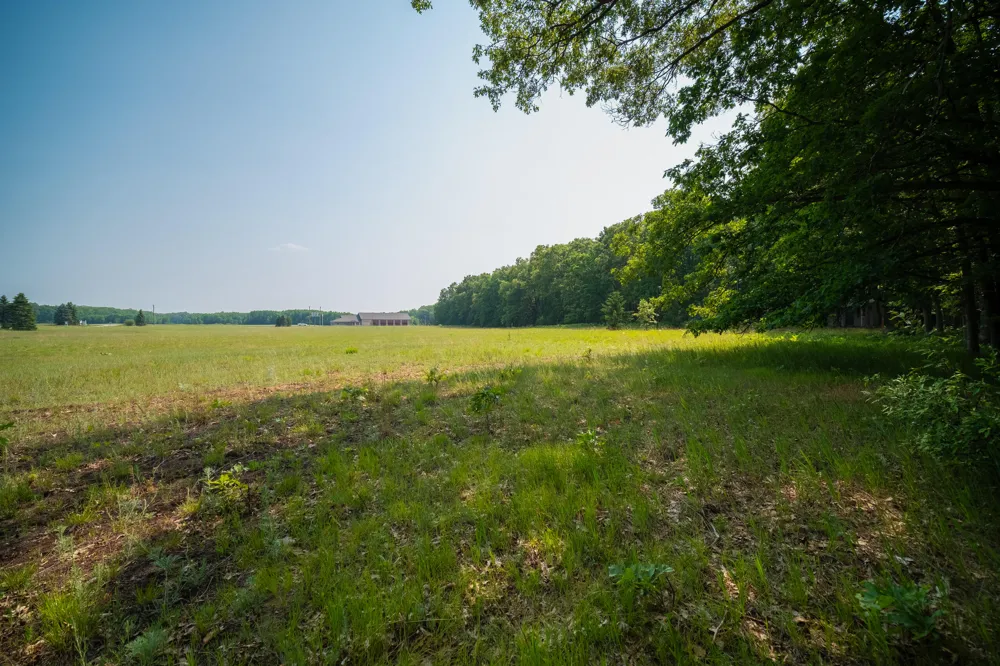 8161 Hunters Ridge Drive Irons, MI 49644
