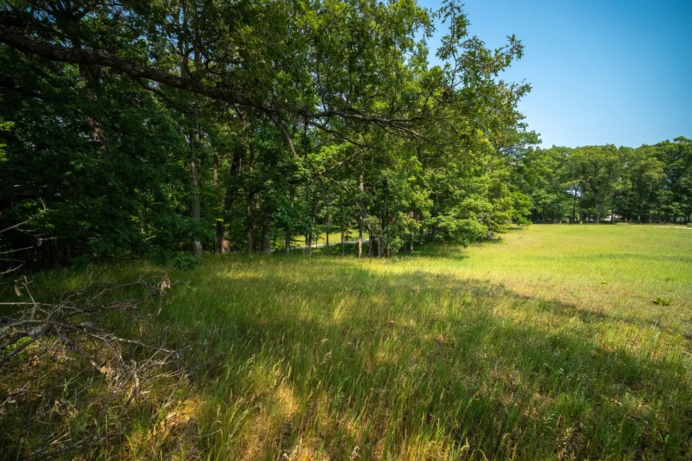 8161 Hunters Ridge Drive Irons, MI 49644