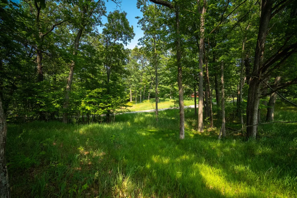 8161 Hunters Ridge Drive Irons, MI 49644