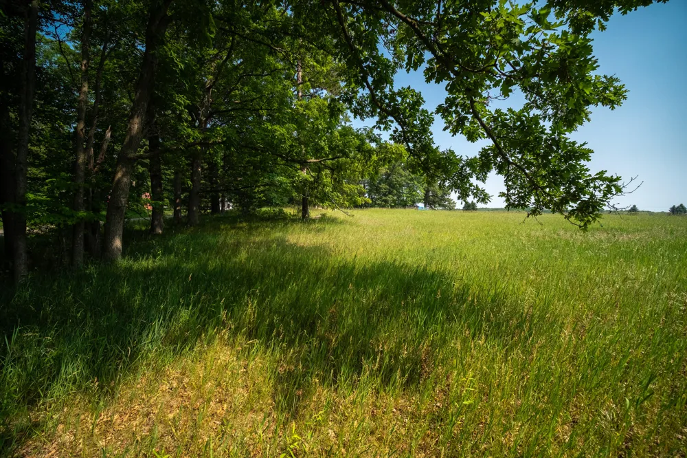 8161 Hunters Ridge Drive Irons, MI 49644