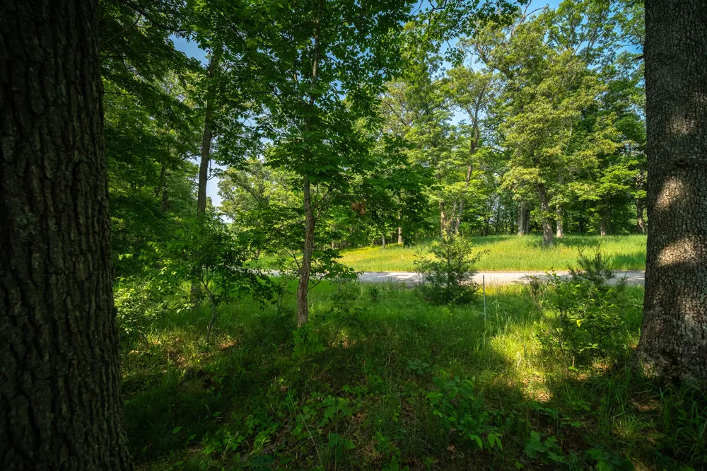 8161 Hunters Ridge Drive Irons, MI 49644