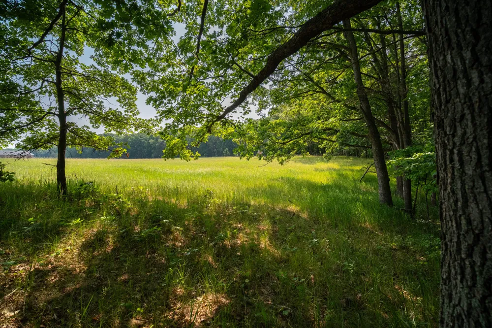8161 Hunters Ridge Drive Irons, MI 49644