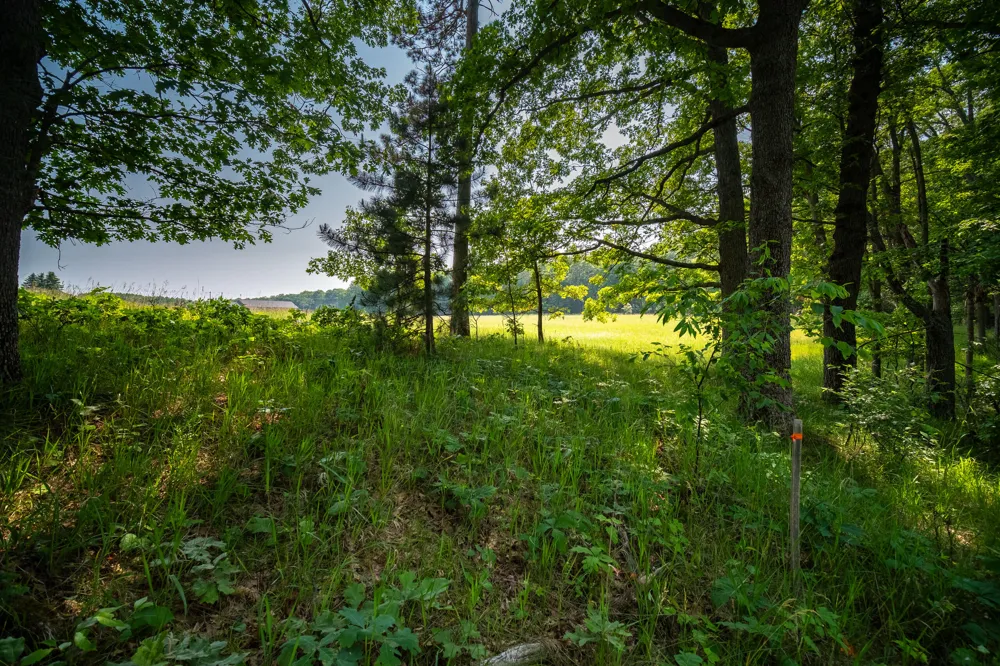 8161 Hunters Ridge Drive Irons, MI 49644