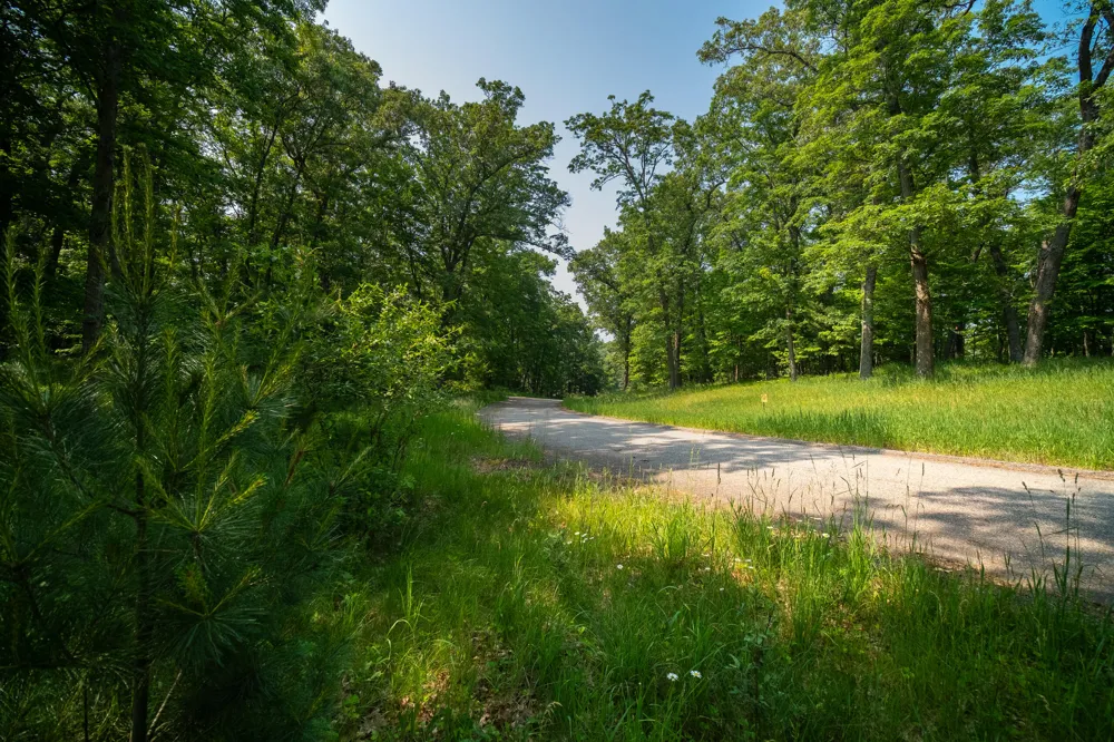 8161 Hunters Ridge Drive Irons, MI 49644
