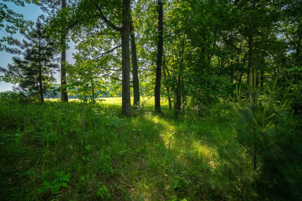 8161 Hunters Ridge Drive Irons, MI 49644