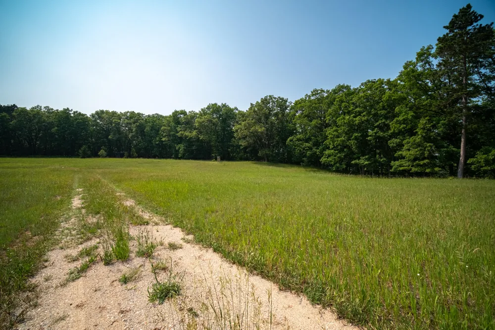 8161 Hunters Ridge Drive Irons, MI 49644