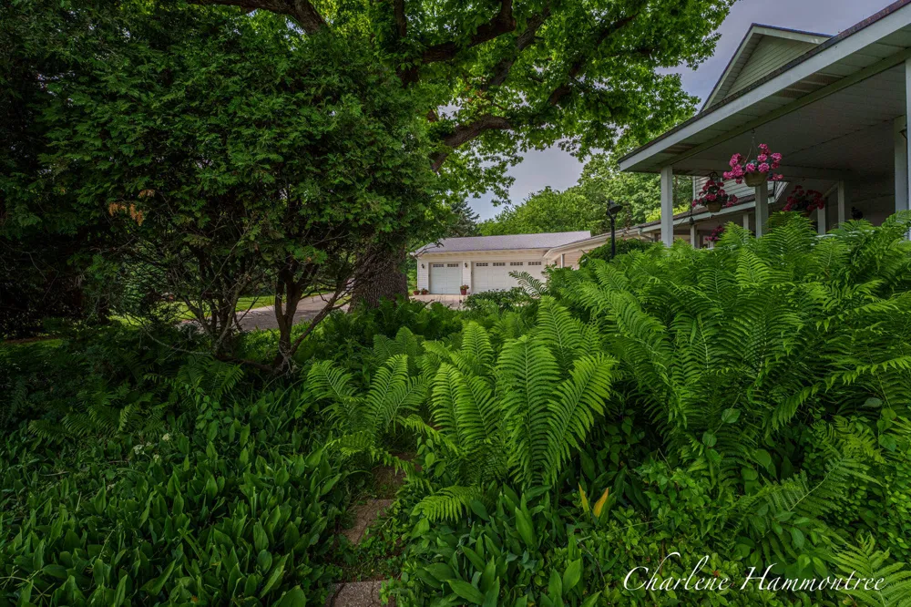 9111 Summit Avenue NE Rockford, MI 49341