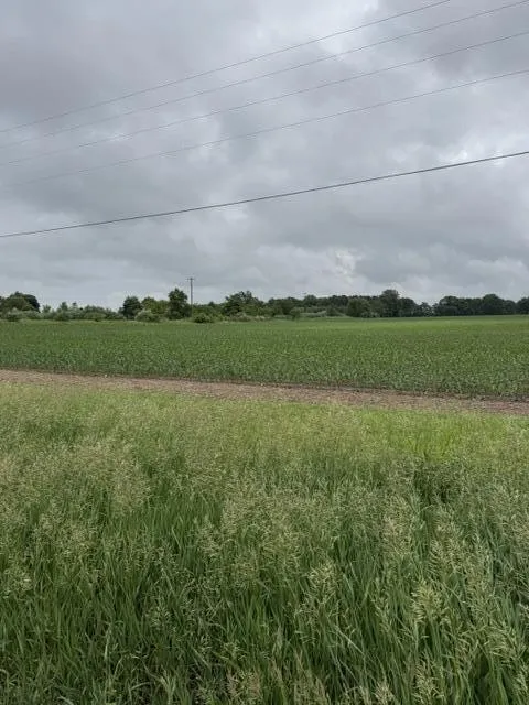 Satterlee Road