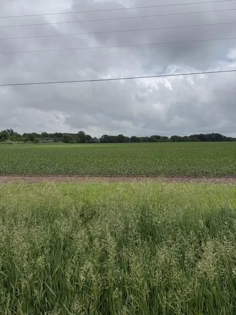 Satterlee Road Greenville, MI 48838