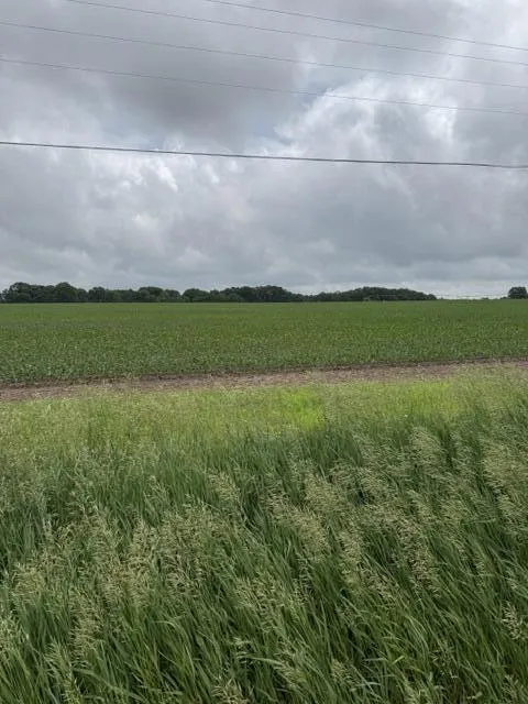 Satterlee Road Greenville, MI 48838