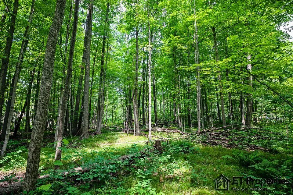 8371 14 Mile Road NE Cedar Springs, MI 49319