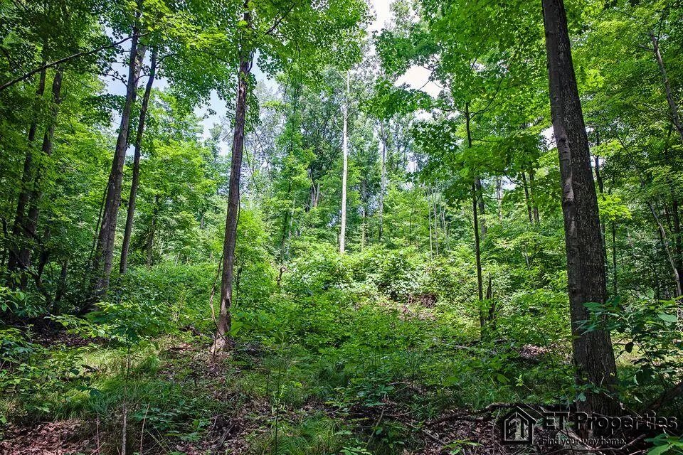 8371 14 Mile Road NE Cedar Springs, MI 49319
