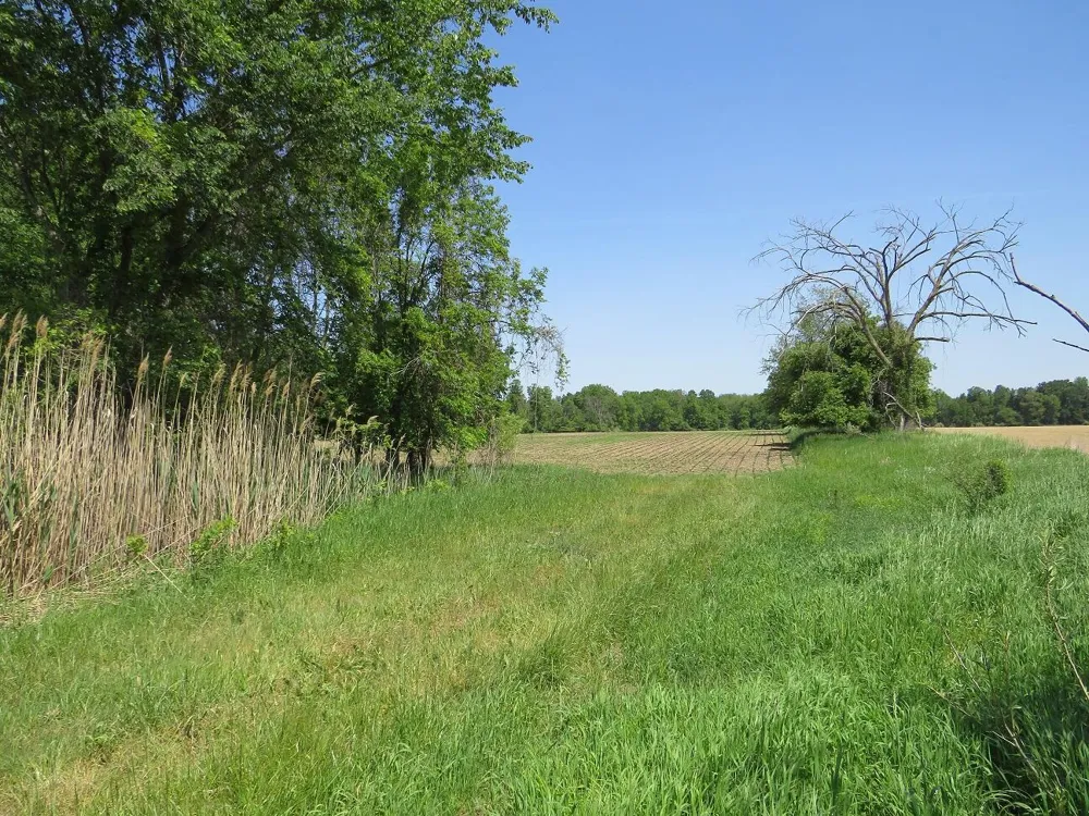 4670 Rescue Road Owendale, MI 48754