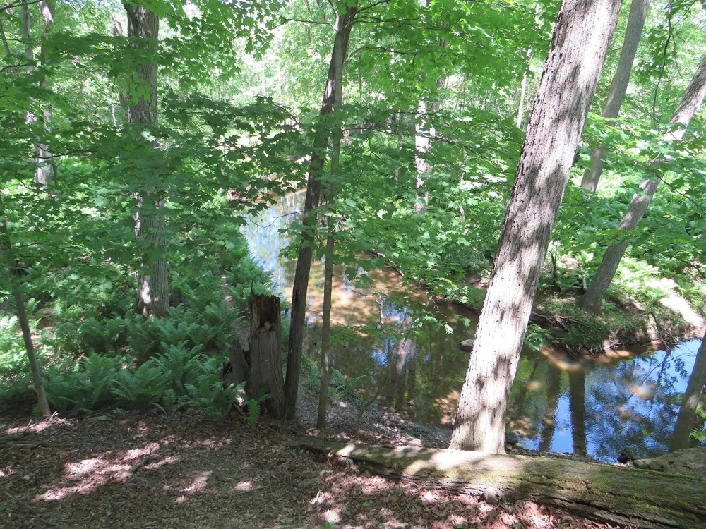 4670 Rescue Road Owendale, MI 48754