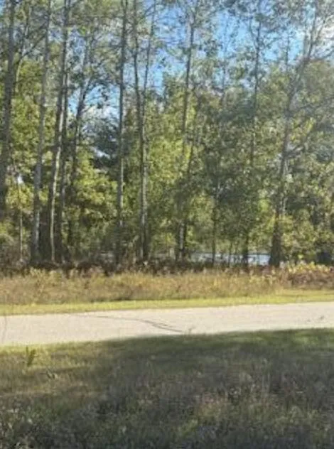 7021 Southwest Drive Stanwood, MI 49346