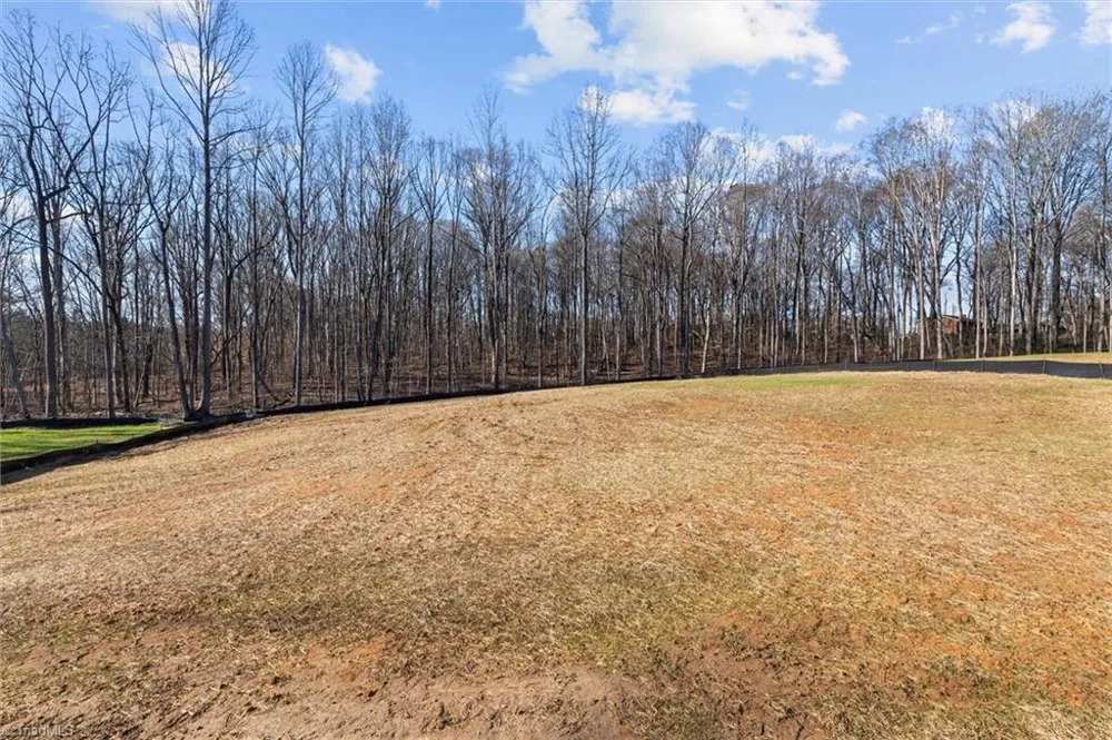 6055 Frye Bridge Road Clemmons, NC 27012