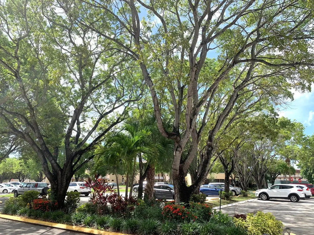 2801 Pine Island Road #110 Sunrise, FL 33322
