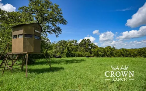 FM 908 (+/-1,057 acres)