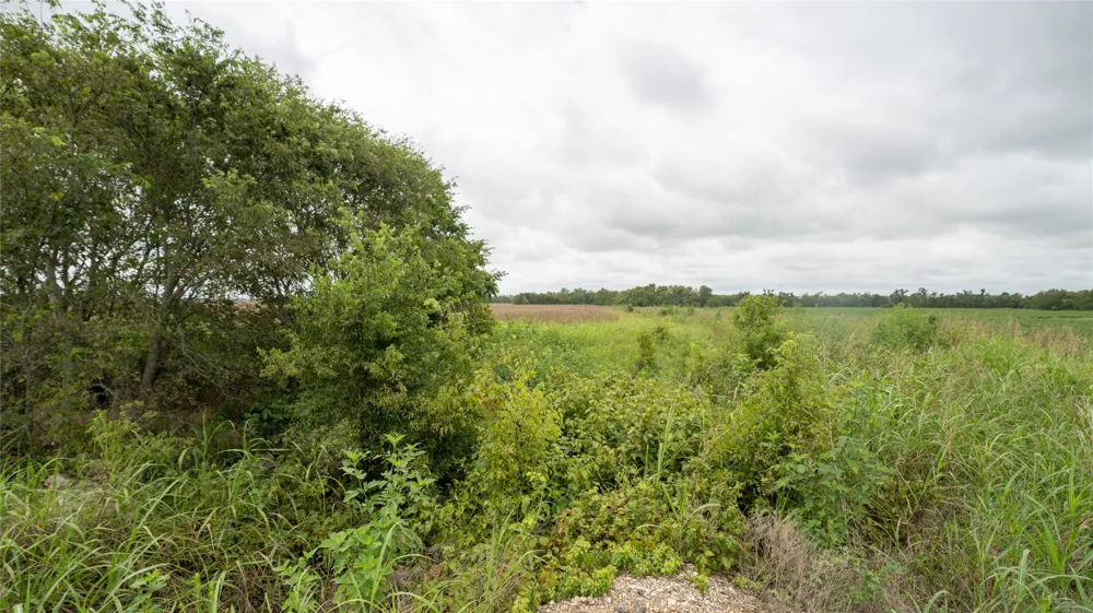 CR 240 Cameron, TX 76520