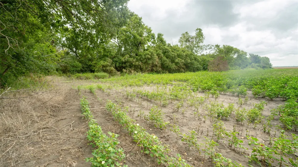 CR 240 Cameron, TX 76520