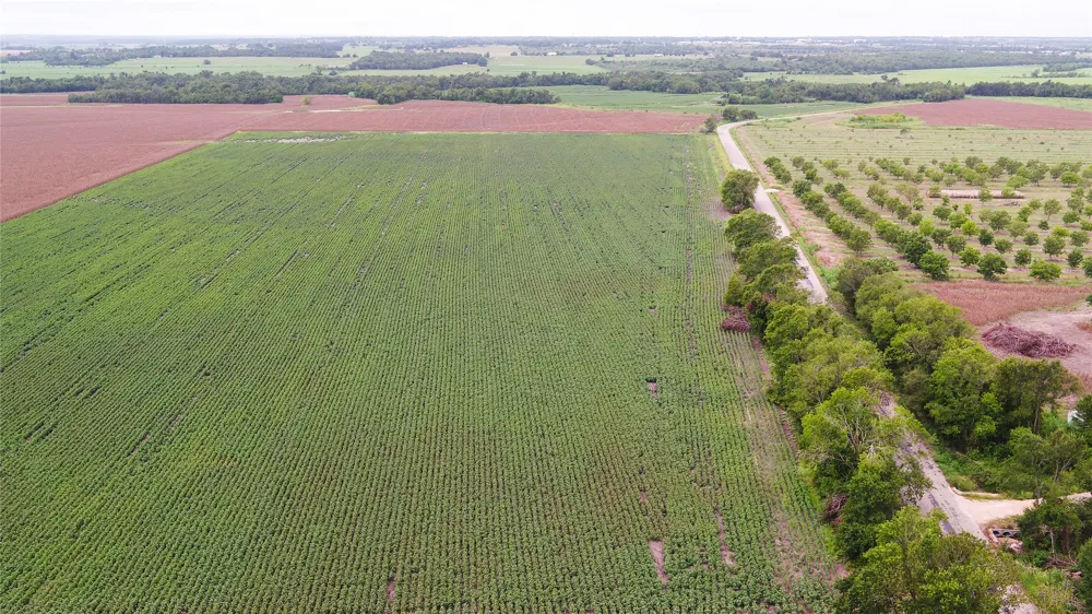 CR 240 Cameron, TX 76520