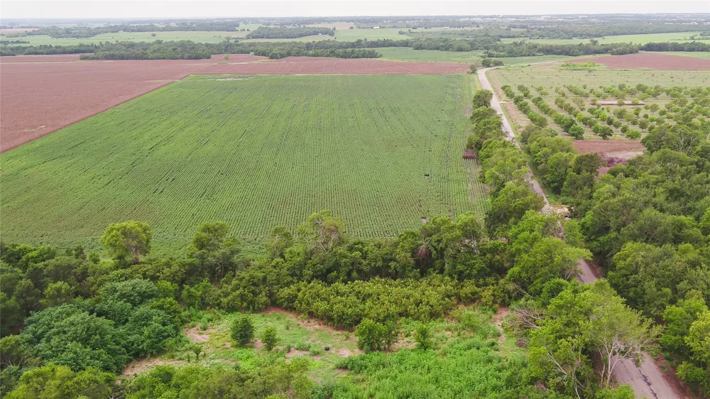 CR 240 Cameron, TX 76520