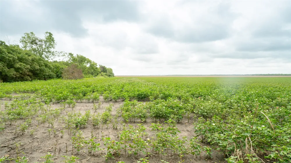 CR 240 Cameron, TX 76520