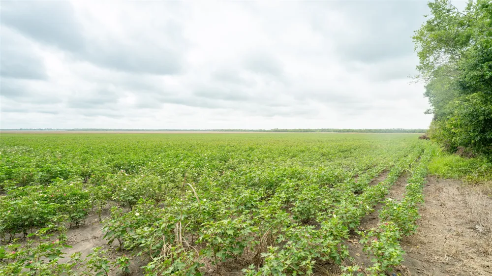 CR 240 Cameron, TX 76520