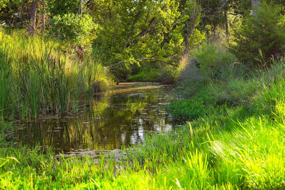 Ligon-Smith Lane Johnson City, TX 78636