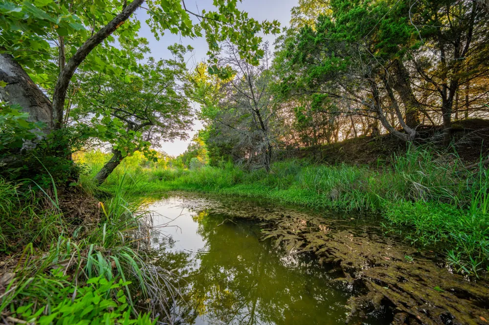 Ligon-Smith Lane Johnson City, TX 78636