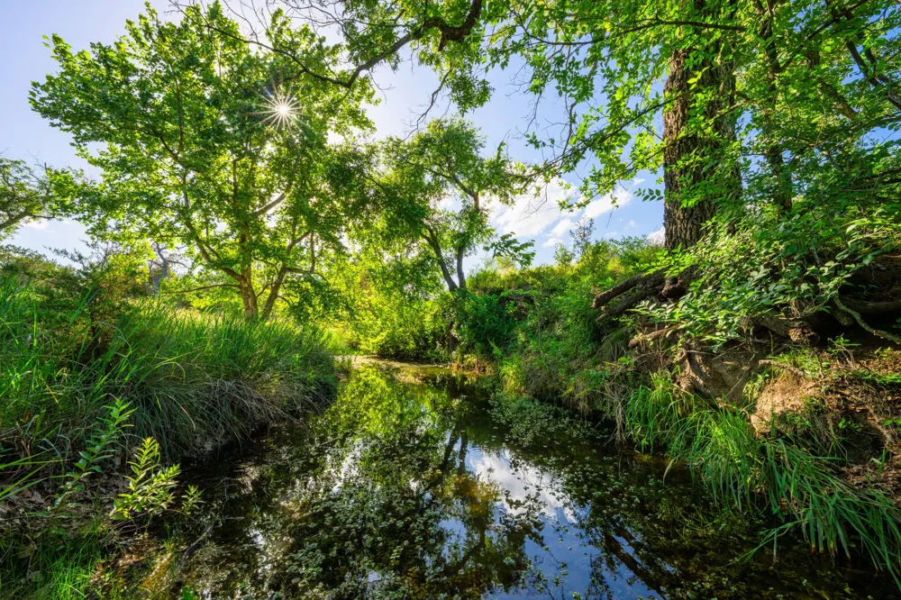 Ligon-Smith Lane Johnson City, TX 78636