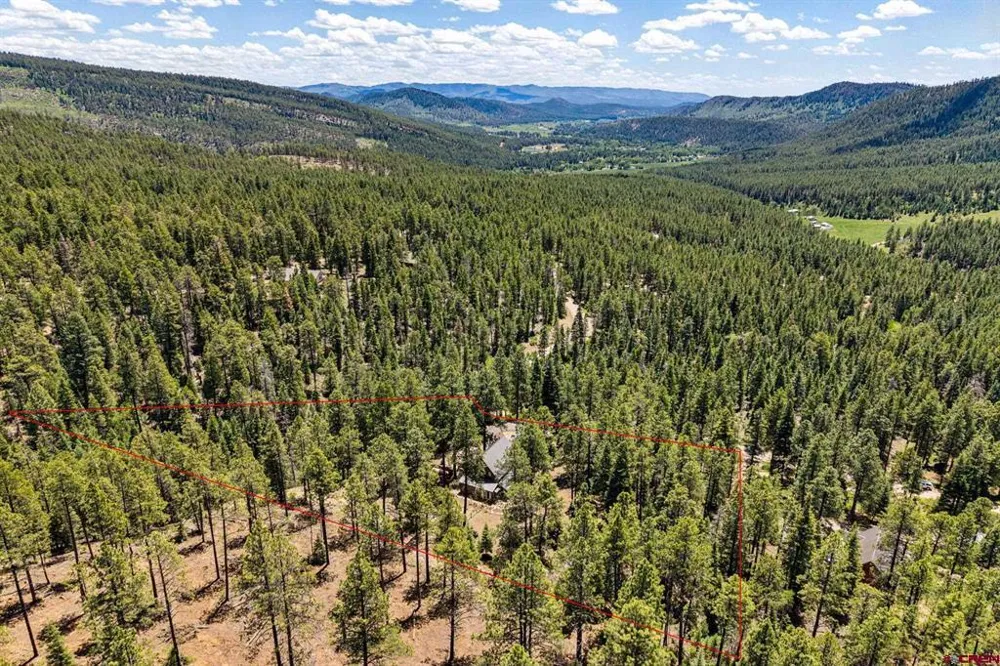 345 Skyline Drive Bayfield, CO 81122