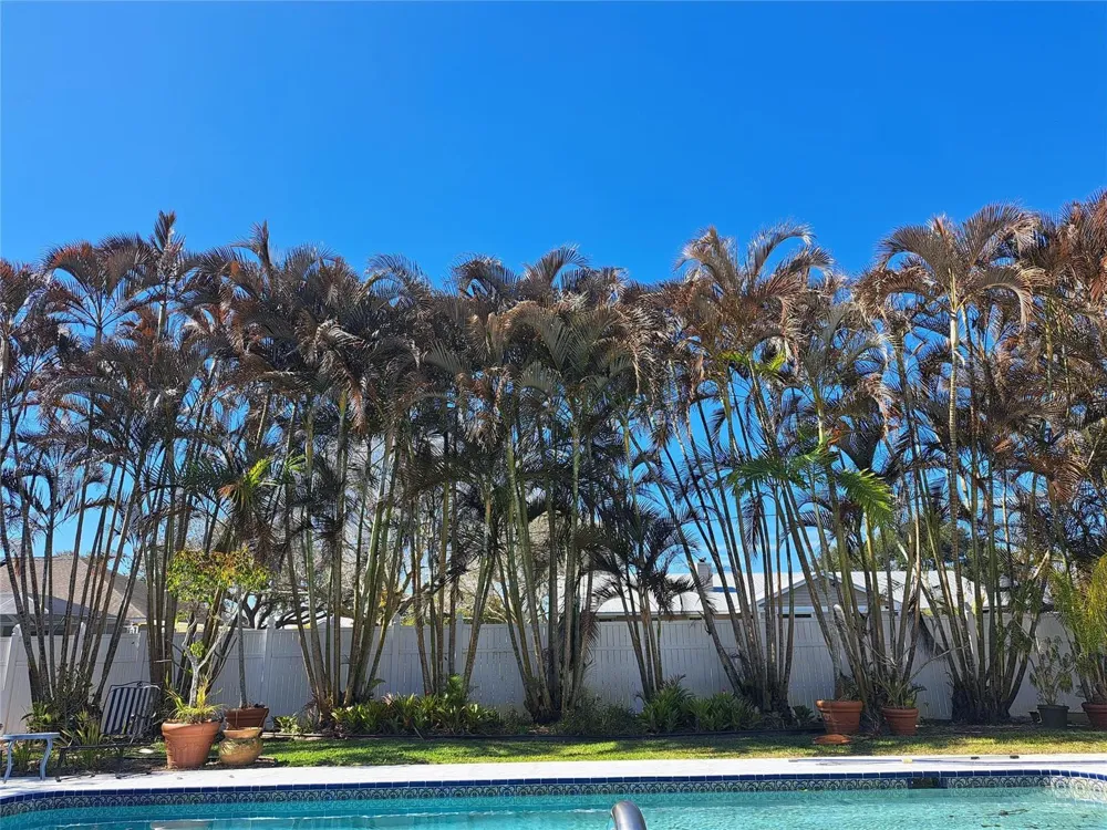 155 31st Avenue Vero Beach, FL 32968