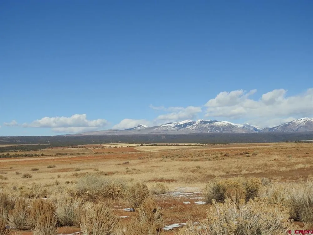 888 Crystal Acres Hesperus, CO 81326