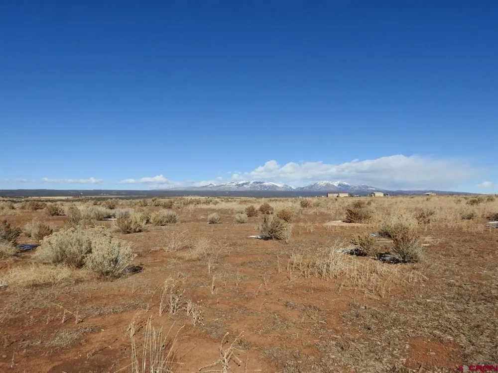888 Crystal Acres Hesperus, CO 81326