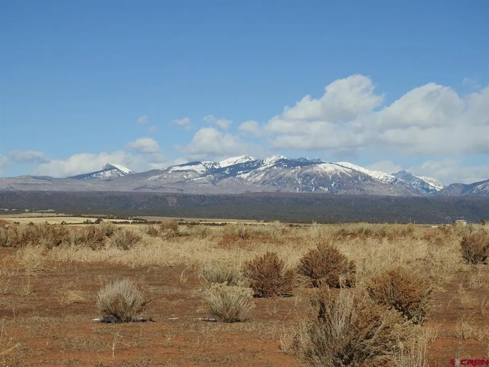 888 Crystal Acres Hesperus, CO 81326
