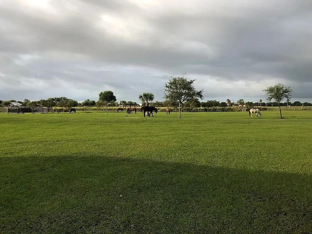 7565 Polo Square Vero Beach, FL 32968